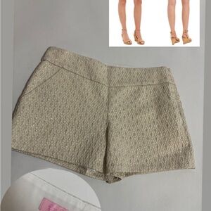 Elegant Cream Women's Shorts